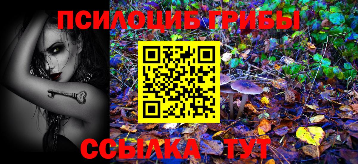 Псилоцибиновые грибы MAGIC MUSHROOMS  Галлюциногенные грибы мицелий  Вход с VPN  Лиски 